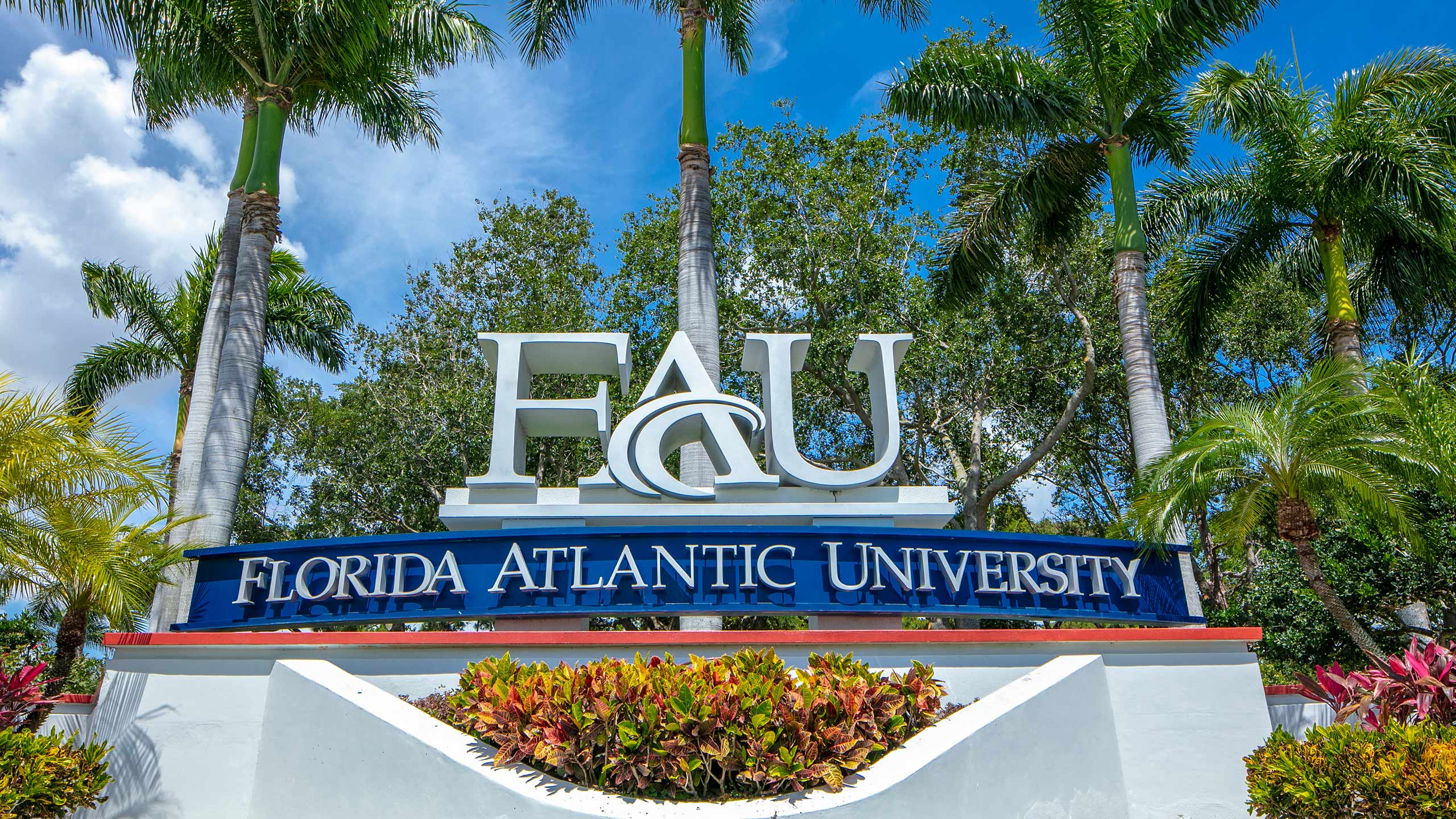 does florida atlantic require an essay